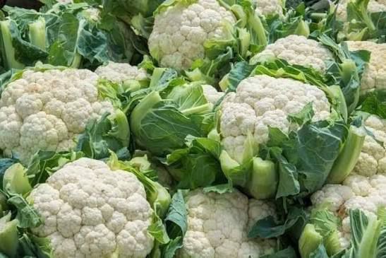 Chou-fleur frais (Brassica oleracea var. botrytis)